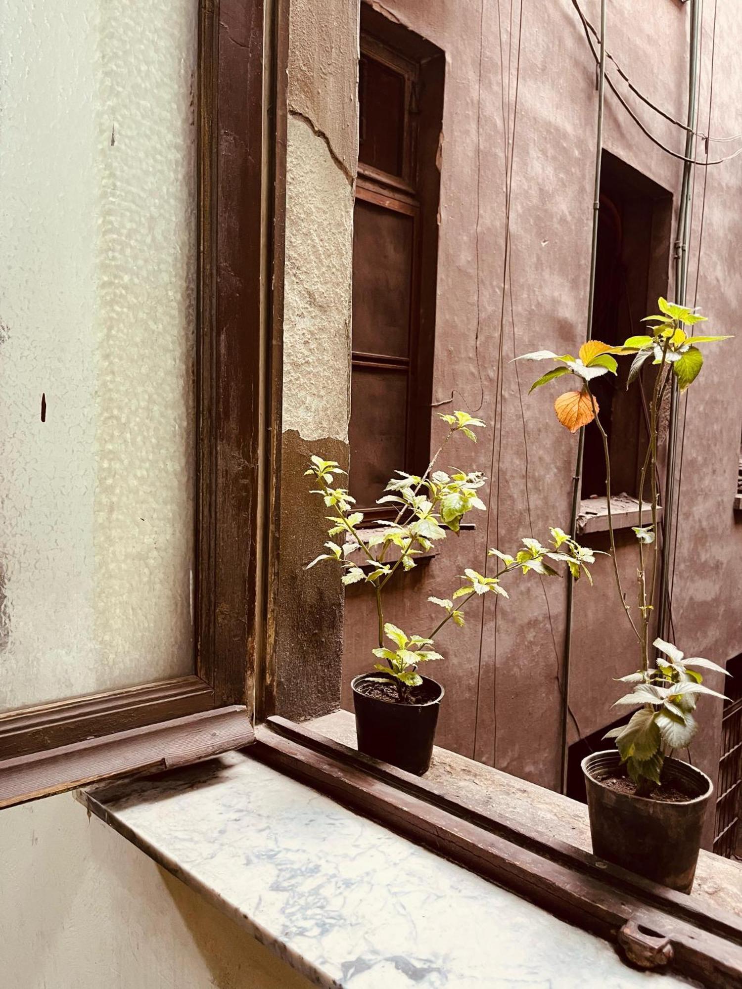 Hostel Mina Elsalam
